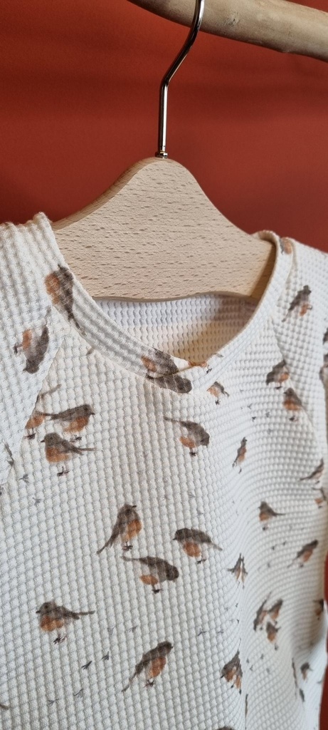 Pull Oversize - Oiseaux