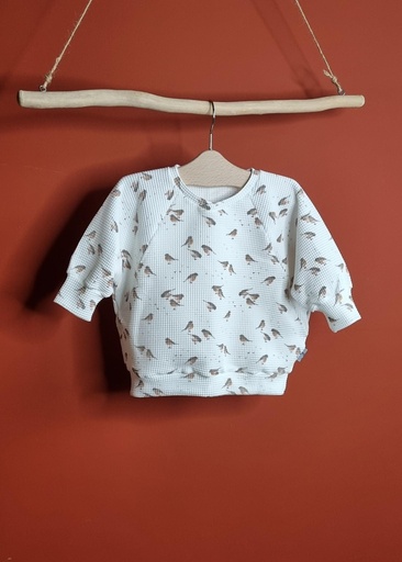Pull Oversize - Oiseaux